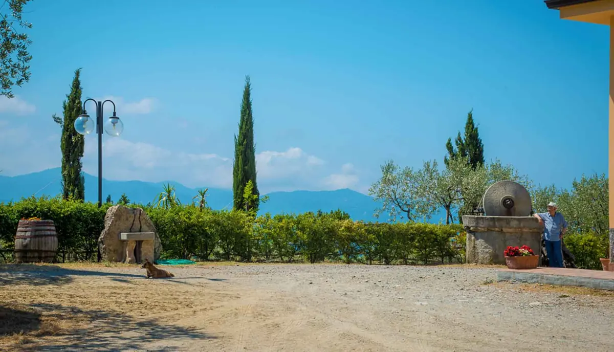 Antica macina in pietra nel piazzale dell'agriturismo